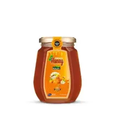 Renix Honey 1000 gm