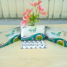 Feel Nix-ফিল নিক্স